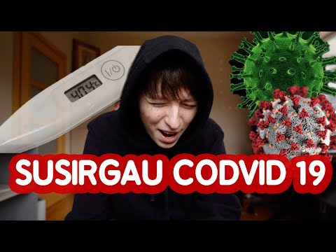 KAIP AŠ SUSIRGAU KORONA | Talzunas | Pildyk ofisas