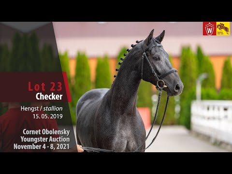 Youngster Auktion Lot 23 Checker Hengst v. Cornet Obolensky - Rubinstein I