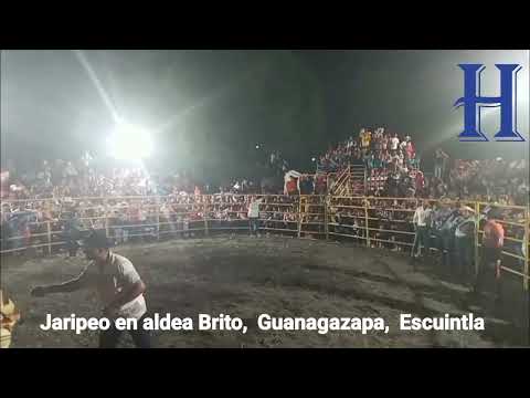 Los mejores montadores de toros de Guanagazapa 