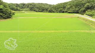 PFCFサンプル素材 014