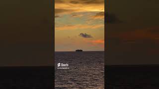 Cruise Shorts - Ship on the Horizon at Sunrise from Cruise Ship Carnival Vista