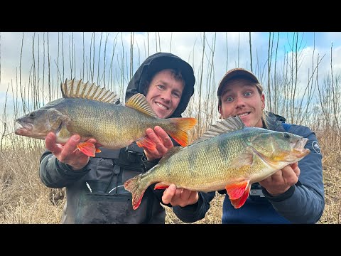 BAARZEN TAKELEN MET DANIEL WEYERS!