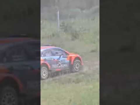 Rally cordobés colonia Caroya 2025