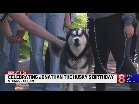 UConn mascot Jonathan the husky celebrates 12th birthday - YouTube