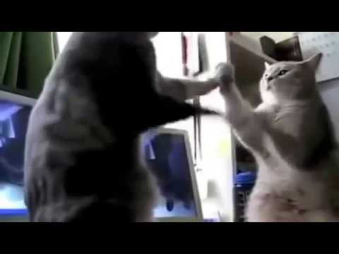 Backe Backe Kuchen - Kazten