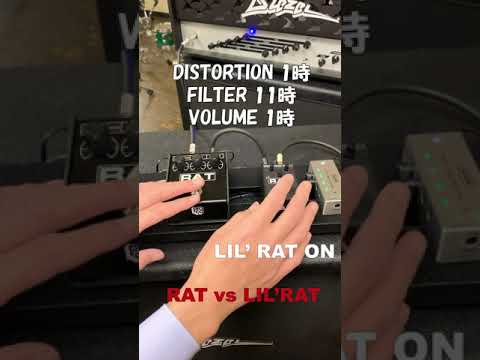 Immagine Pro-co [Autumn SUPER SALE] LIL'RAT - 8