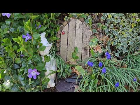 Garden update 16th April  2023