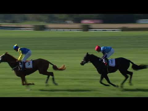 10. 10. 2021 - 3. dostih - Cena Kudy z nudy – Cena ČASCH