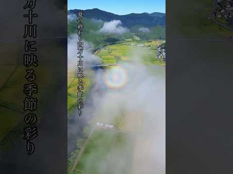 『夏の終わり、四万十川に映る季節の彩り』