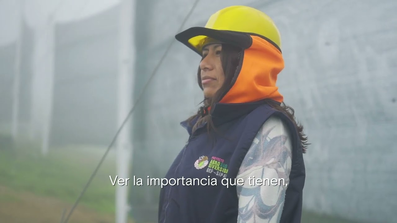 🌧️ Cosechar agua en las alturas de #Atiquipa | Manos Que Cultivan | Proyecto SIPAM