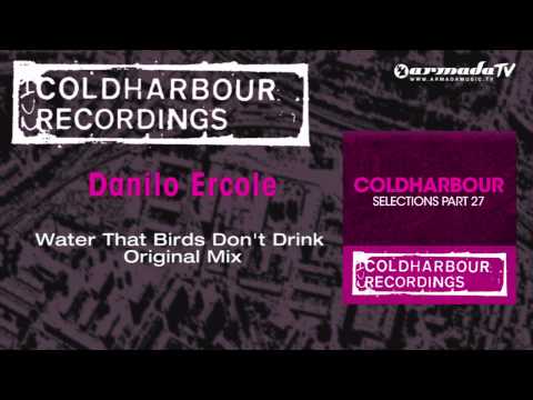 Danilo Ercole - Water That Birds Don't Drink (Original Mix)