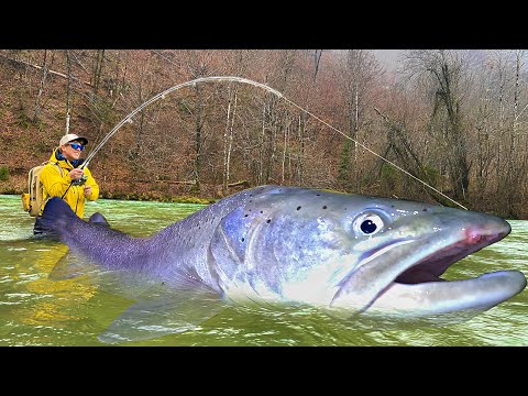 IK VANG DE VIS VAN MIJN DROMEN!! - HUCHO IN SLOVENIA (ENGLISH)