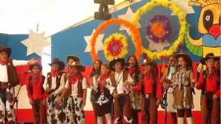 preview picture of video 'Carneval 2013 Antigua Fuerteventura Rick'