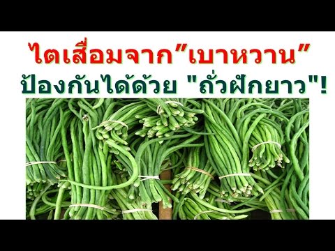 วิธีการที่จะกระตุ้นผู้หญิงคนหนึ่งมาก เชื้อโรคที่แข็งแกร่งของผู้หญิง