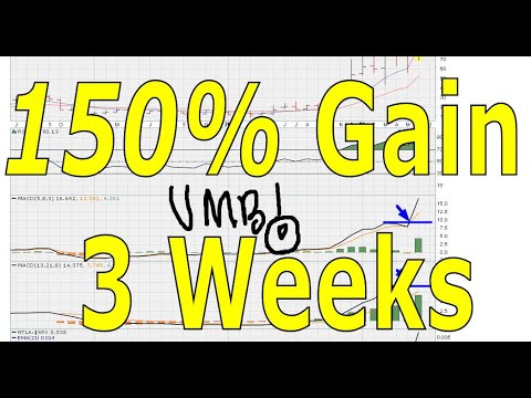 150% Gain In Three Weeks - #1411