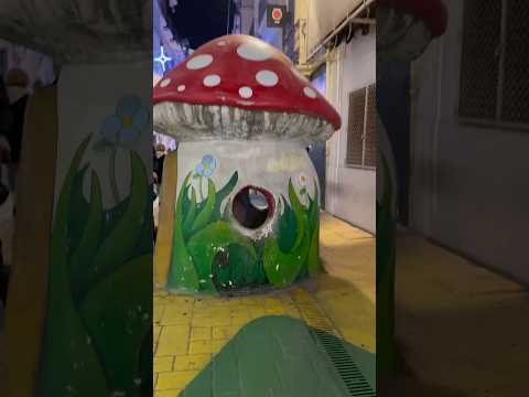 Alicante Mushroom Street