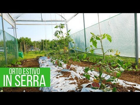 , title : 'Coltivare i pomodori in SERRA'