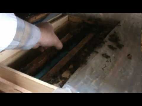 1. Populare Bio Stup pe vatra (stationar)  - Trei in Unul 1/9