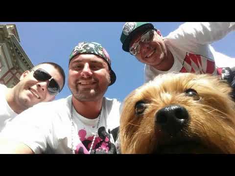 Hamann - Kuchka (Mastered)