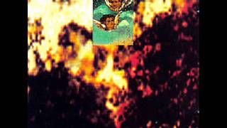 BRISE-GLACE stump of a drowner 1994