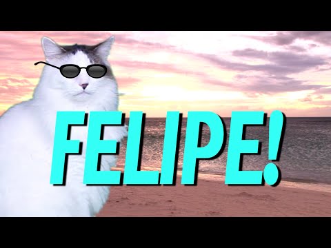 HAPPY BIRTHDAY FELIPE! - EPIC CAT Happy Birthday Song