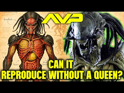 Predalien Anatomy Explored - Is It A Superior Being Than Queen Xenomorph Or Super Predators?