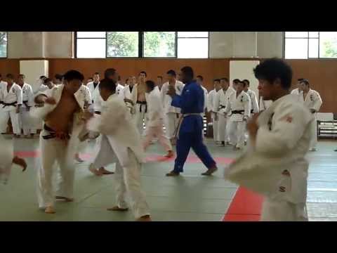 Te in ryustsukeizai university