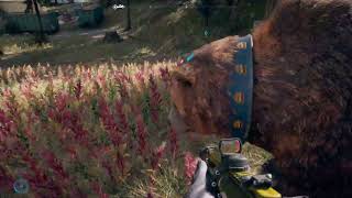 今日こそ熊を仲間に… FAR CRY5 / PS4 PRO ( SSD ) / 声なし /