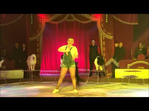 Circus Louis Knie 2019 - Sara Biasini-Berousek - Hundedressur