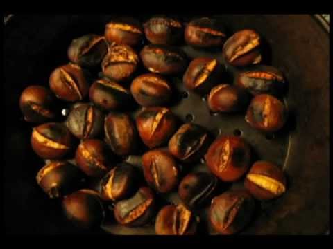 OP.ROT ganja farm cru - PARLA COMME MAGNE - (prod. OLuWong)