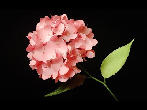 ABC TV | How To Make Hydrangea Paper Flower From Shape Punch - Craft Tutorial