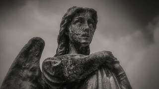 IT SEEMS SO LONG AGO NANCY LEONARD COHEN COVER