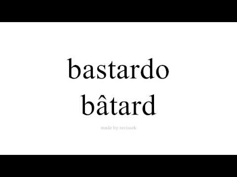 apprendre l'espagnol   bâtard
