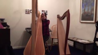 Yeasayer Blue Paper Cover on Harp