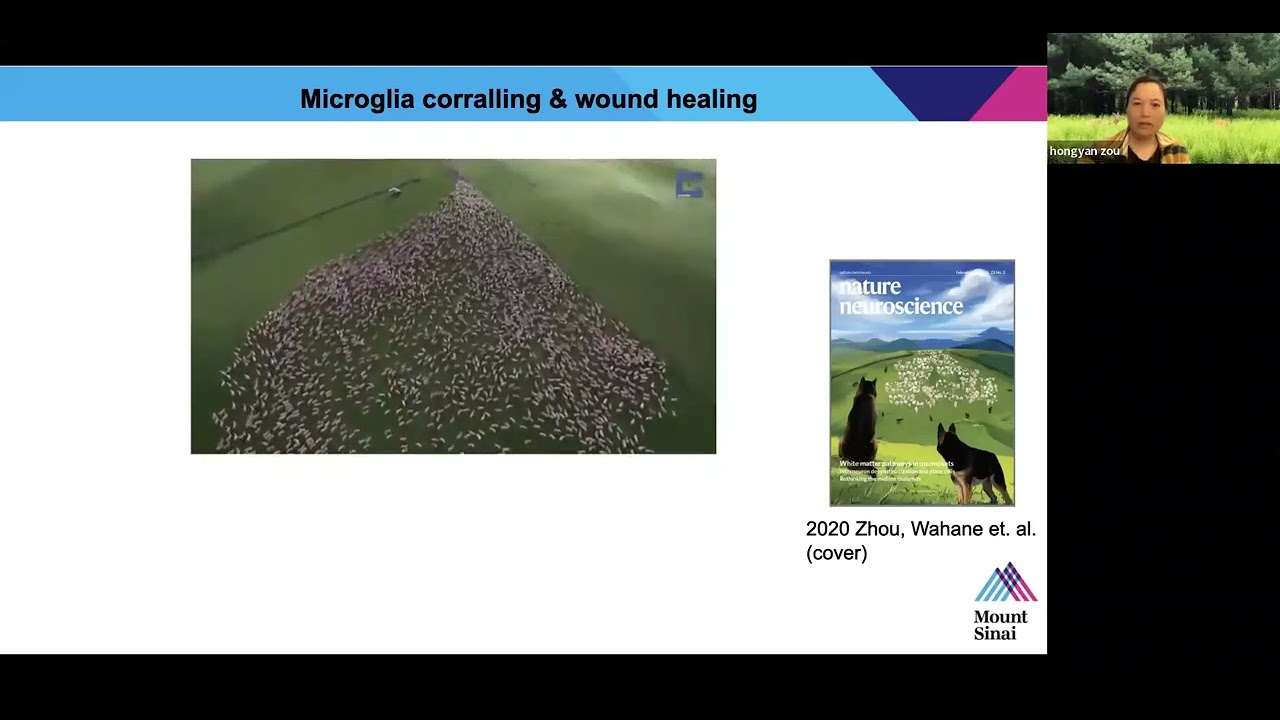 Dissecting Neuronal Intrinsic and Extrinsic Hurdles of Axon Regeneration After Spinal Cord Injury