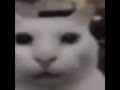 That One Cat And Evil Cat Thing Meme With The Beep Block Skyway Theme From Super Mario 3D World