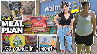How I Lost 50 Pounds in 3 Months | My EXACT Portion Control Meal Plan from Walmart