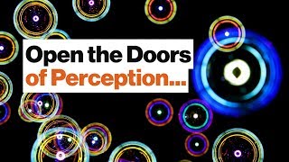 Diversity of Groups Isn't Enough: We Need Diverse Experiences to Problem Solve | Beau Lotto