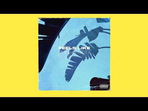 (FREE) Chris Brown x Ty Dolla Sign Type Beat 2021 - "FEELS LIKE"