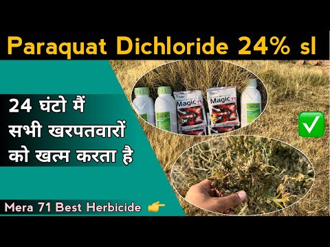 Quit Paraquate Dichloride 24% SL Non Selective Herbicide