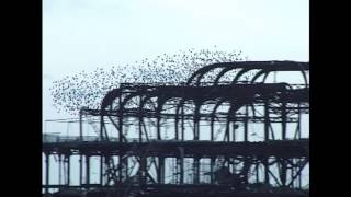 Tim Bowness / Peter Chilvers - Chant One