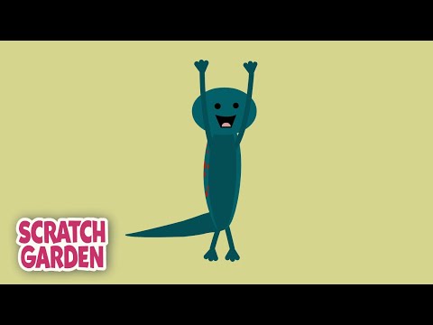 Salamander Yoga! | 5-minute Yoga Break | Scratch Garden