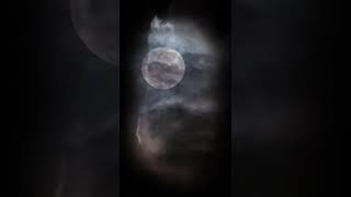 The Magnetic Fields - The Night You Can&#39;t Remember (cover)