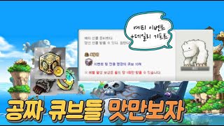 이벤트 큐브 받은걸로 스펙업 도전 ! 맛만 보자