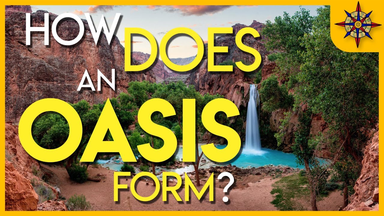 How does an oasis come about?