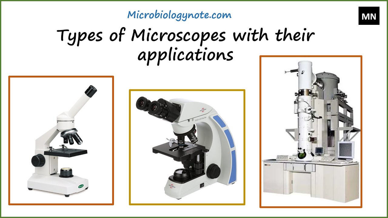 What are the 4 types of microscopes and their functions? Tipseri
