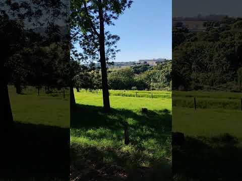 sitio Ypê, terra boa PR.