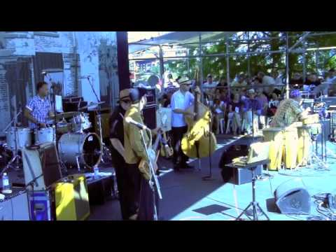 James Harman - Jungle @ Waterfront Blues Fest