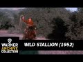 Preview Clip Wild Stallion Warner Archive