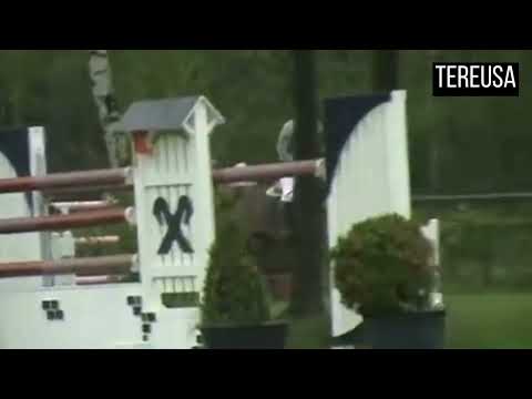 2nd dam Tereusa - 1.50 level - Joris Aegten